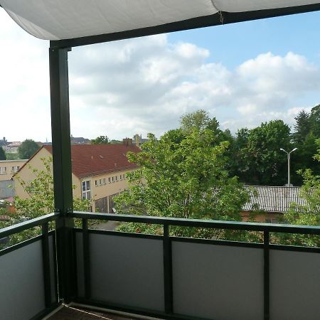 Fewo Dresden-Trachau Eksteriør billede